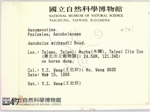 登錄號:F0004721藏品圖，第2張