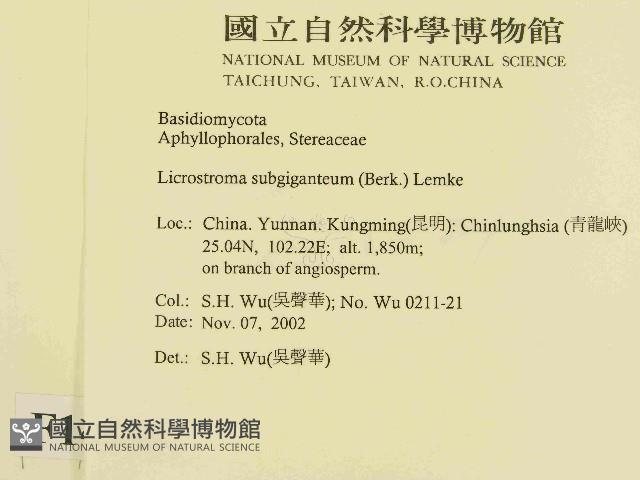 登錄號:F0014721藏品圖，第2張