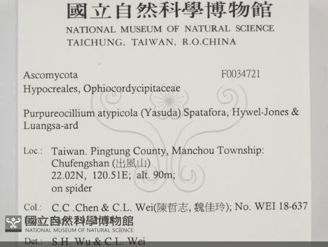 登錄號:F0034721藏品圖，第2張