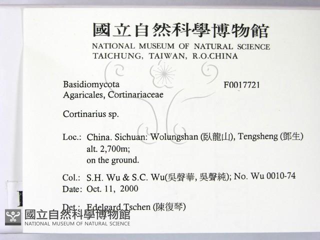 登錄號:F0017721藏品圖，第2張