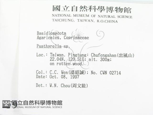 登錄號:F0009721藏品圖，第2張