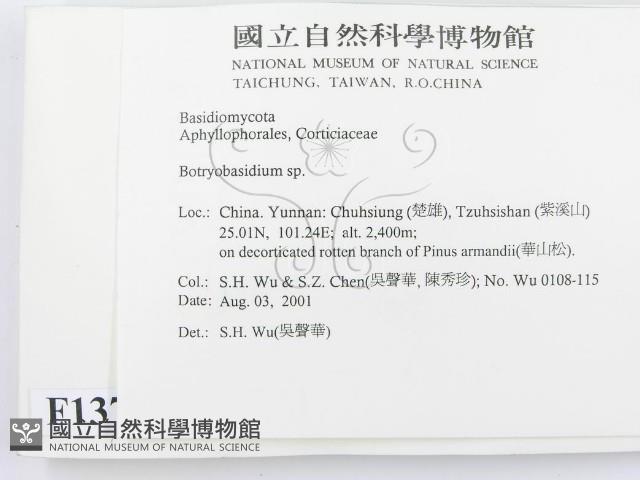 登錄號:F0013721藏品圖，第2張