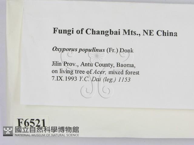 登錄號:F0006521藏品圖，第2張