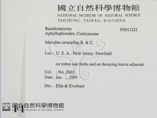 登錄號:F0011521藏品圖，第2張