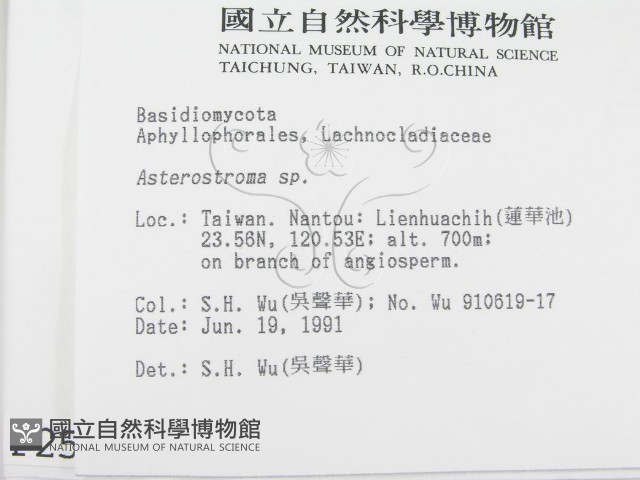 登錄號:F0002521藏品圖，第2張