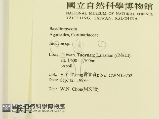 登錄號:F0012521藏品圖，第2張