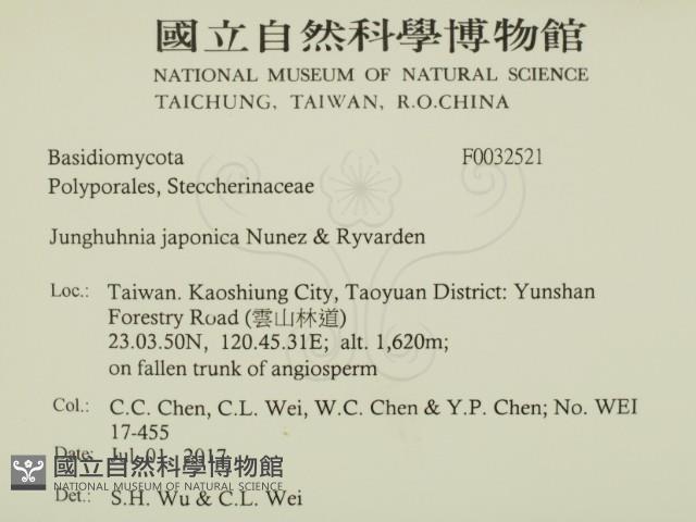 登錄號:F0032521藏品圖，第2張