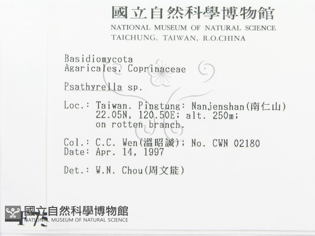 登錄號:F0007521藏品圖，第2張