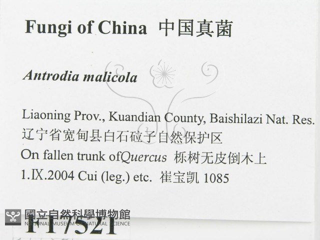 登錄號:F0017521藏品圖，第2張