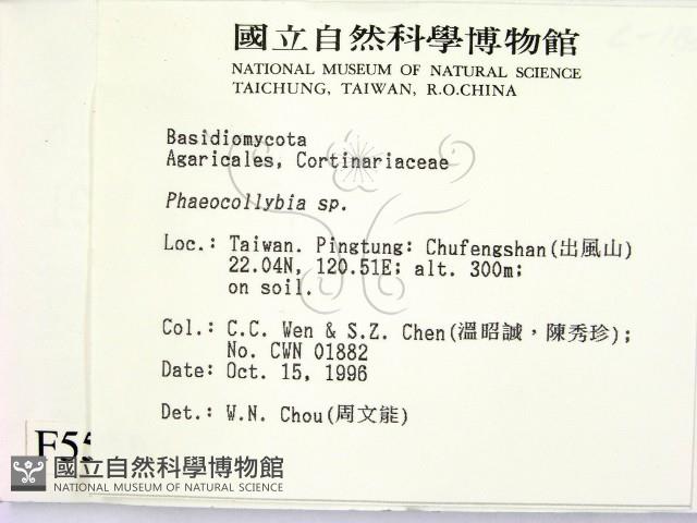 登錄號:F0005521藏品圖，第2張