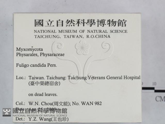 登錄號:F0015521藏品圖，第2張