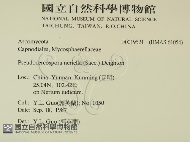 登錄號:F0019521藏品圖，第2張