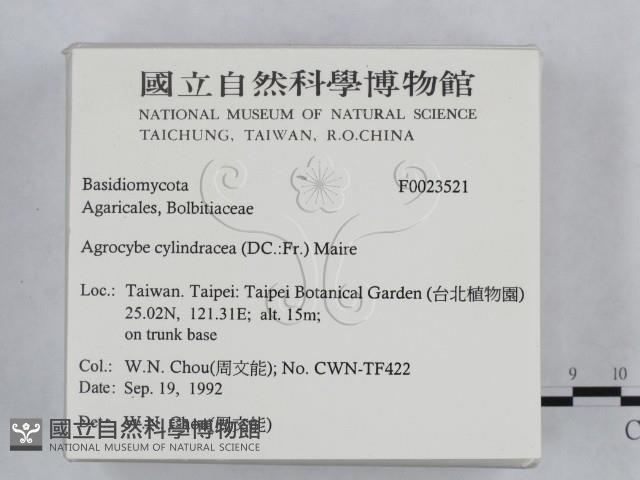 登錄號:F0023521藏品圖，第2張