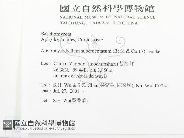 登錄號:F0013521藏品圖，第2張