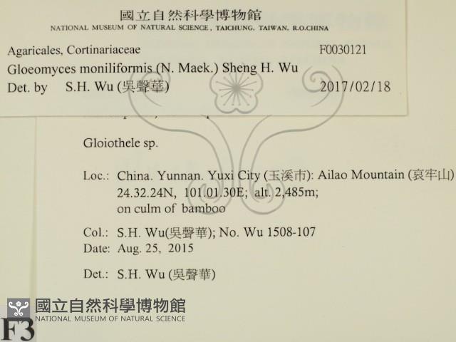 登錄號:F0030121藏品圖，第2張
