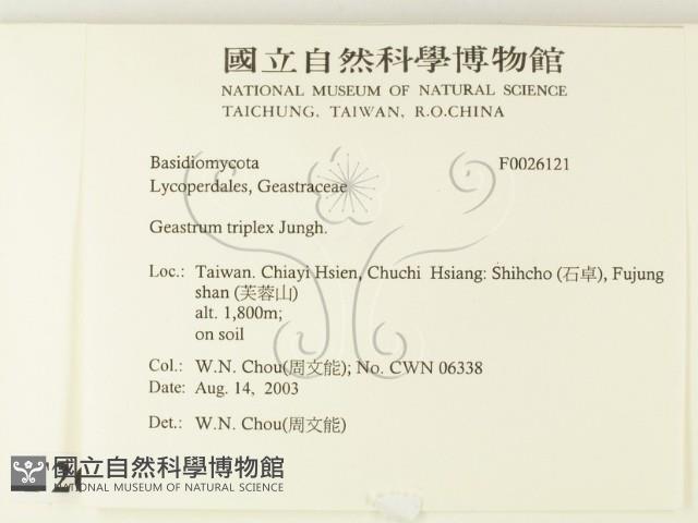 登錄號:F0026121藏品圖，第2張