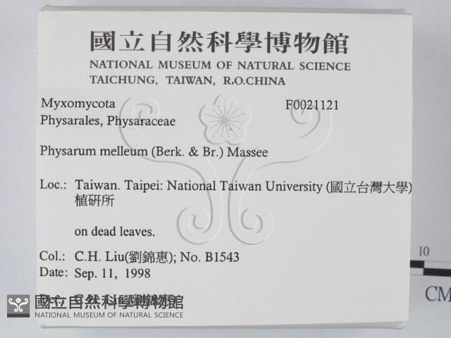 登錄號:F0021121藏品圖，第2張