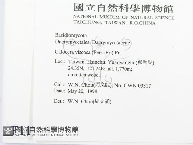 登錄號:F0011121藏品圖，第2張