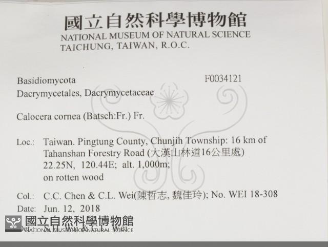 登錄號:F0034121藏品圖，第2張