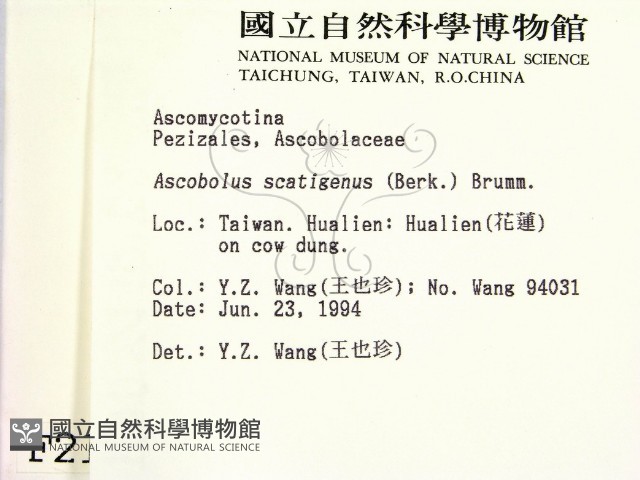 登錄號:F0002121藏品圖，第2張