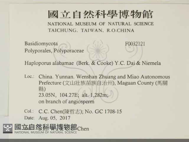 登錄號:F0032121藏品圖，第2張