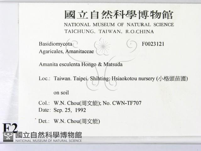 登錄號:F0023121藏品圖，第2張