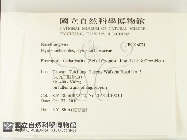 登錄號:F0026021藏品圖，第2張