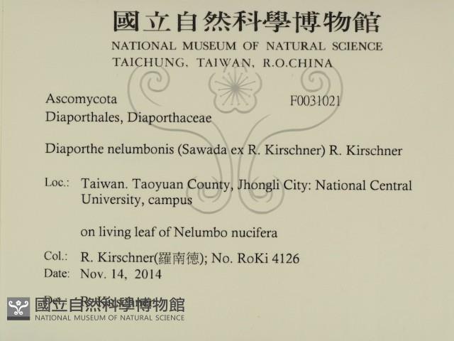 登錄號:F0031021藏品圖，第2張