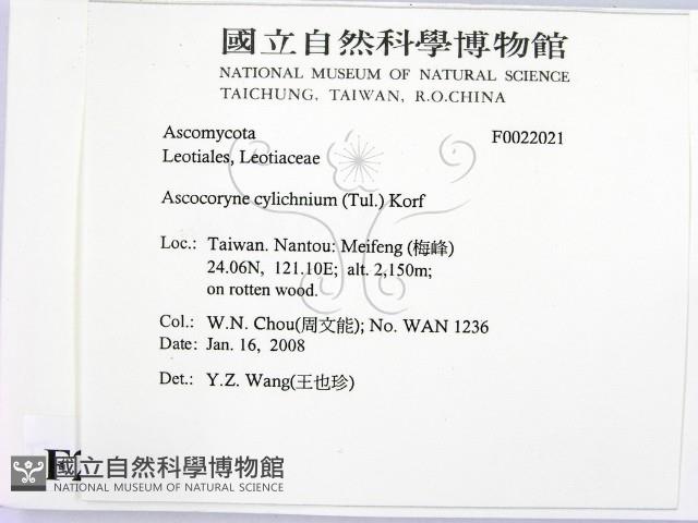 登錄號:F0022021藏品圖，第2張