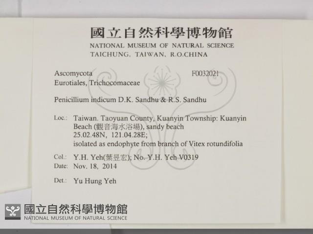 登錄號:F0032021藏品圖，第2張