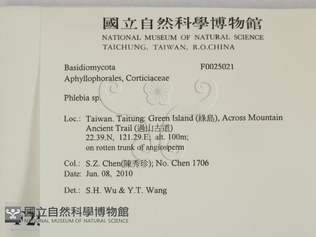 射脈菌屬藏品圖，第2張