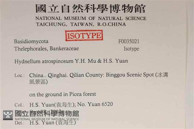 登錄號:F0035021藏品圖，第2張