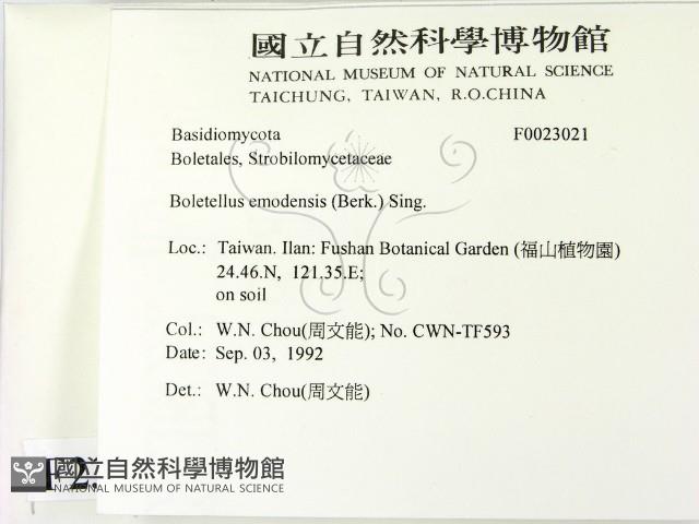 登錄號:F0023021藏品圖，第2張