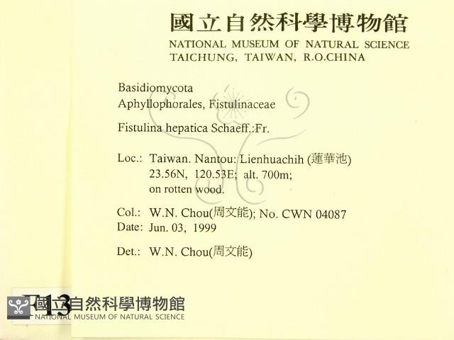 登錄號:F0013021藏品圖，第2張