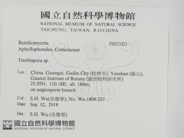 登錄號:F0033021藏品圖，第2張