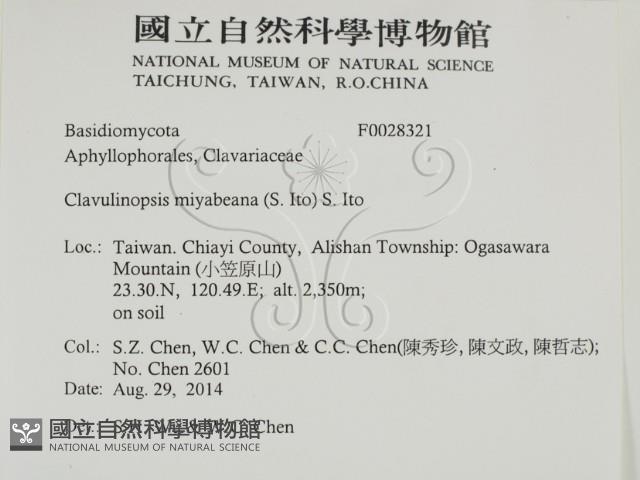 登錄號:F0028321藏品圖，第2張