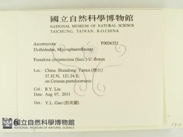 登錄號:F0026321藏品圖，第2張