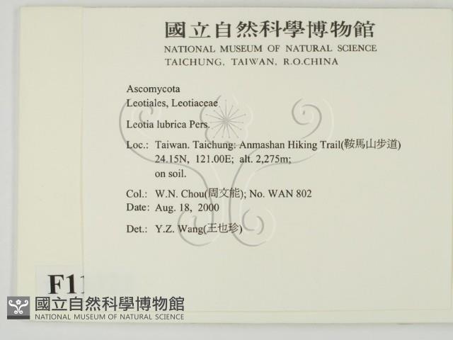 登錄號:F0011321藏品圖，第2張