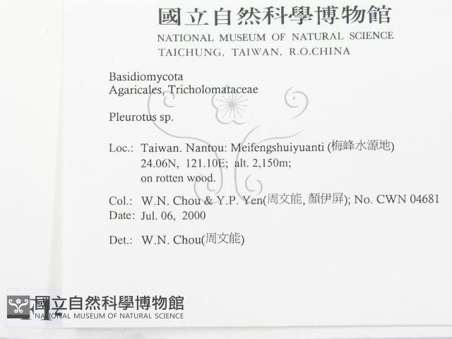 登錄號:F0014321藏品圖，第2張