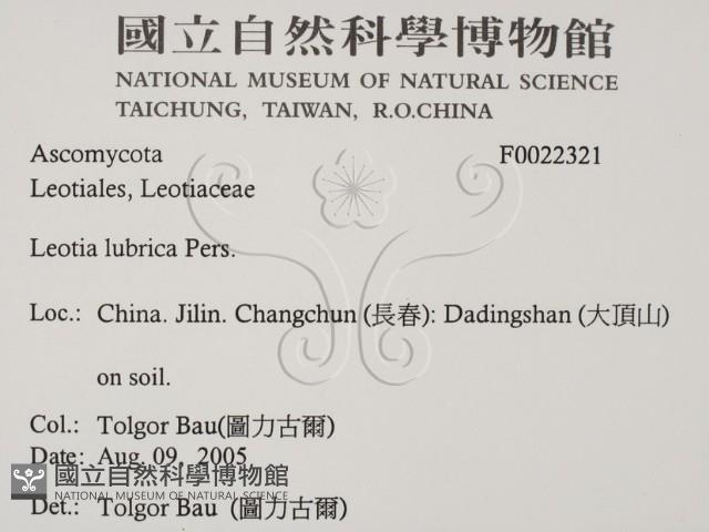 登錄號:F0022321藏品圖，第2張