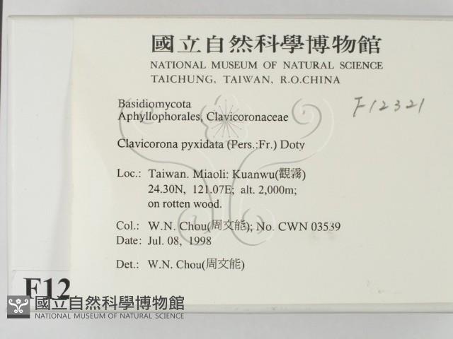 登錄號:F0012321藏品圖，第2張