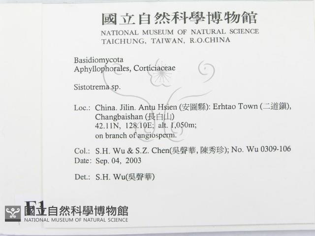 登錄號:F0015321藏品圖，第2張