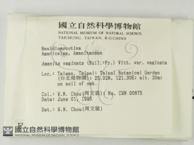 登錄號:F0003321藏品圖，第2張