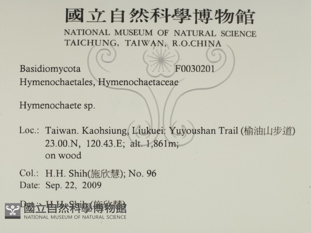 刺革菌屬藏品圖，第2張