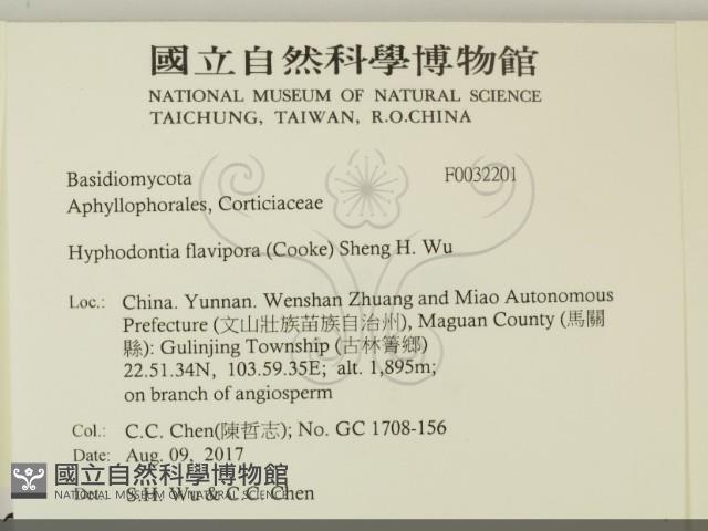 登錄號:F0032201藏品圖，第2張