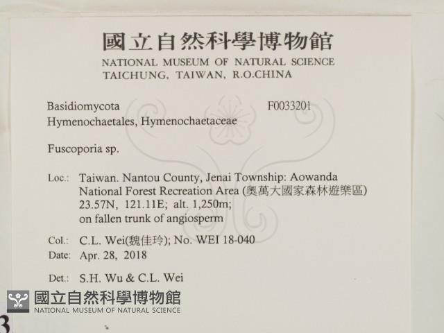 登錄號:F0033201藏品圖，第2張