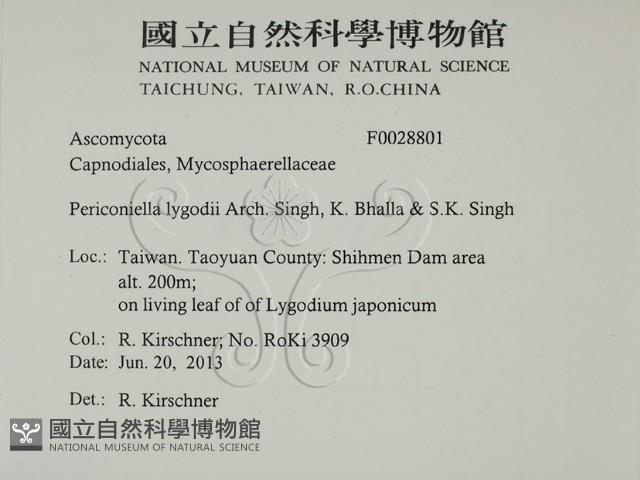 登錄號:F0028801藏品圖，第2張