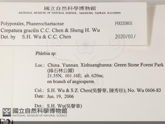 登錄號:F0020801藏品圖，第2張