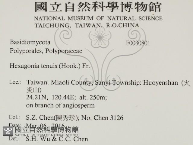 登錄號:F0030801藏品圖，第2張