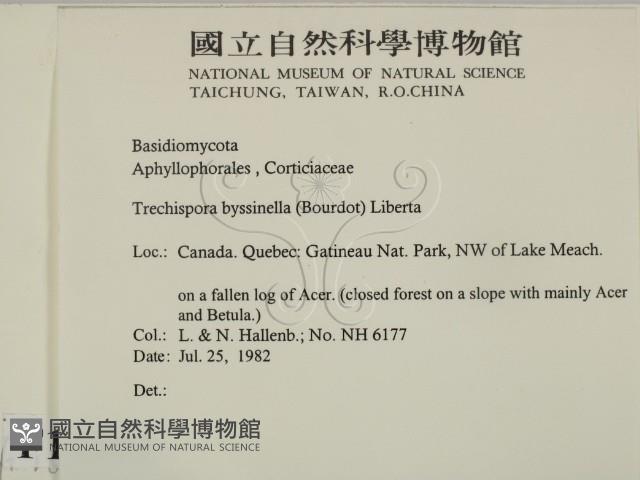 登錄號:F0016801藏品圖，第2張